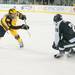 Wolverines defensemen Brennan Serville shoots the puck past Michigan State's left wing Brent Darnell during the first period of their game at Yost Ice Arena Friday Feb. 1st.
Courtney Sacco I AnnArbor.com 